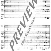 Canções da crianças brasileiras - Vocal And Performing Score