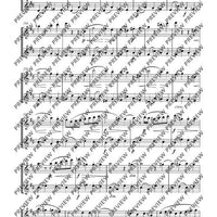 Duo D major - Performing Score