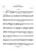 Circuite Suicus - Trumpet 4