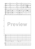 Fantasia di Concerto - Score