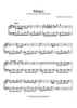 Piano Concerto No. 13 (First Movement)