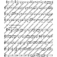 Tambourin - Set of Parts