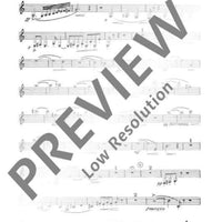 Divertimento - Set of Parts