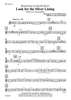 Humoresque on Jerome Kern's Look for the Silver Lining (With some extra padding) - Bb Cornet 2
