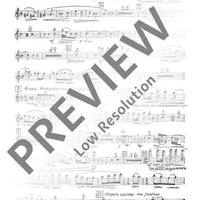 1. Concerto in D - Set of Parts