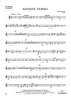 Fantastic Journey - Baritone Saxophone