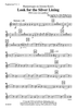 Humoresque on Jerome Kern's Look for the Silver Lining (With some extra padding) - Euphonium TC 1