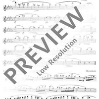 The sound of the flute