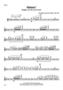 Slainte for Bagpipe and Band - Flute 1