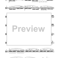 Suzuki Viola School, Volume 5 - Viola Part