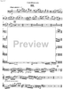 Contrabbasso concertante - Double Bass