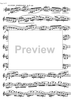 Preliminary studies to 'The Accomplished Clarinettist' Vol. 1 - Clarinet
