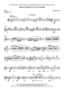 Seven Shards - Flute
