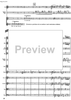 Il tamburo magico - The magical tambourin [orchestral score] - Full Score