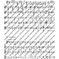 Tambourin - Set of Parts