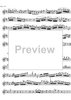 Concerto No. 1 G Major KV313 - Flute