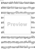 Preliminary studies to 'The Accomplished Clarinettist' Vol. 3 - Clarinet