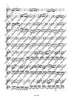 Duet No. 3 D major
