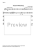Trumpet Voluntary - Violin 2