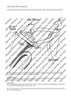 No. 37b - Full Score