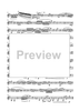 Rondo Divertimento - Euphonium TC