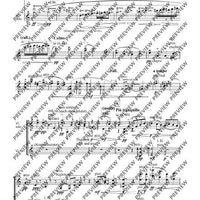 Cadenzas - Performing Score