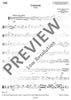 Concerto C minor - Viola