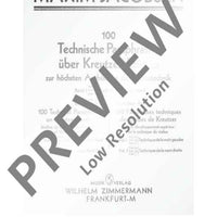 100 Technical Paraphrases on Kreutzer-Etudes