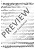 The Technique of the Violin