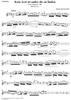 "Kein Arzt ist ausser dir zu finden", Aria, No. 3 from Cantata No. 103: "Ihr werdet weinen und heulen" - Violin/Flute