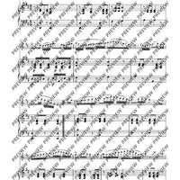 Variationen über „Nel cor più non mi sento“