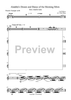 Aladdin's Dream and Dance of the Morning Mists - Bb Piccolo Trumpet