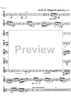 Concerto - Bb Clarinet/Basset Horn 3