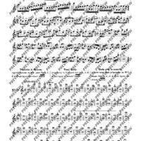 100 Technical Paraphrases on Kreutzer-Etudes