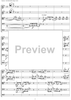 The Pink Panther - Score