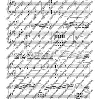 Fantasia appassionata in G minor