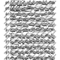 The Flutist's Progress