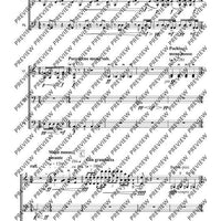 Cadenzas - Performing Score