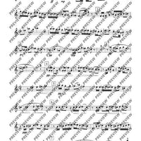 Notturno e Divertimento - Score and Parts