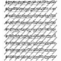 Twelve Etudes