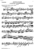 Introduction and Rondo capriccioso a minor Op.28 - Violin