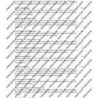 The Flute Expedition