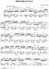 Bird-Brain Rag
