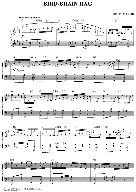 Bird-Brain Rag