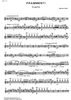 Frammenti - Flute