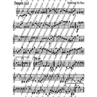 Holledauer Marsch/ Waldler-Marsch - Set of Parts