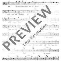 Rosen aus dem Süden - Bass I