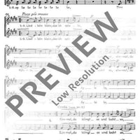 Spanisches Liederspiel - Soprano / Alto