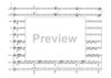 Bass Clarinet Double Concerto - Score