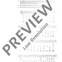 The Modern Recorder Player